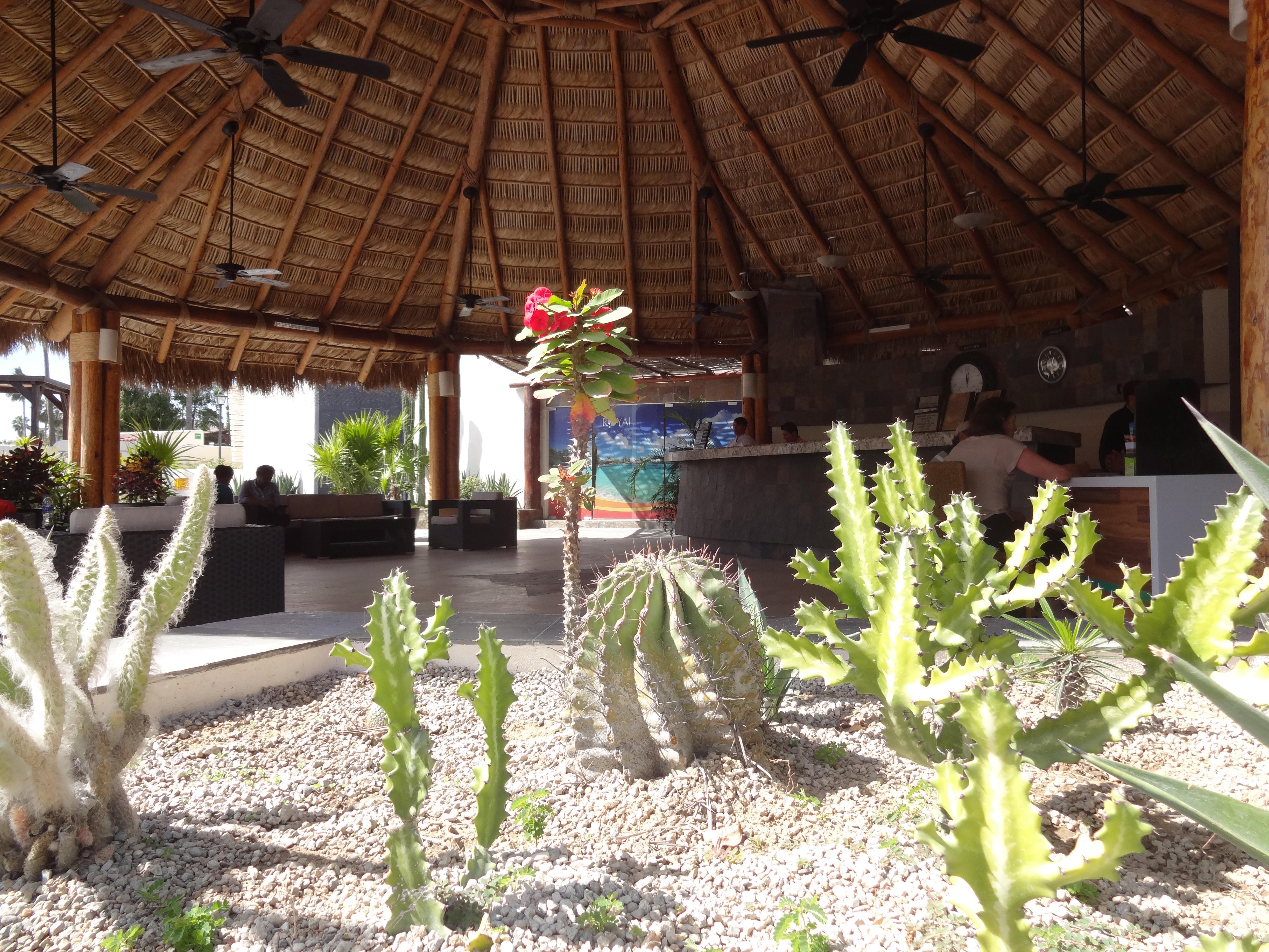 Park Royal Homestay Los Cabos San Jose del Cabo Bagian luar foto